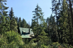Enchanted Forest Chalet Strba